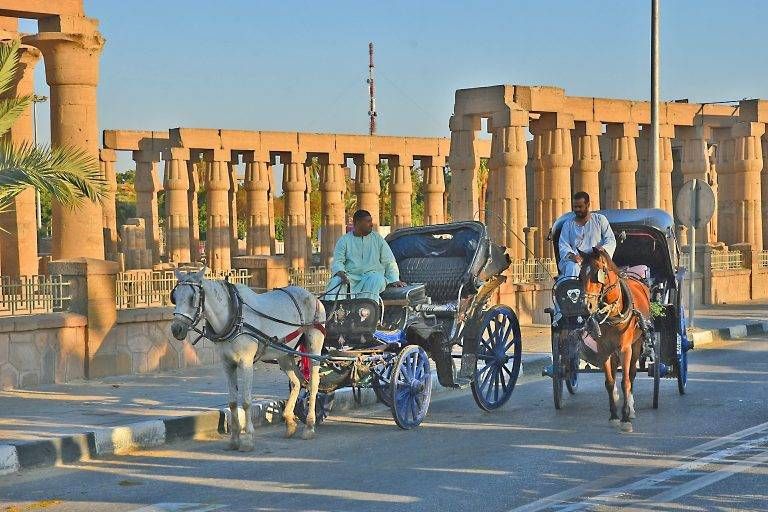 Luxor Horse Carriage Tour