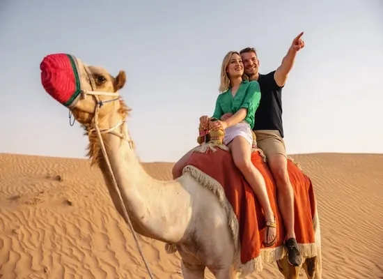 Egypt and Dubai Tours, Dubai Desert