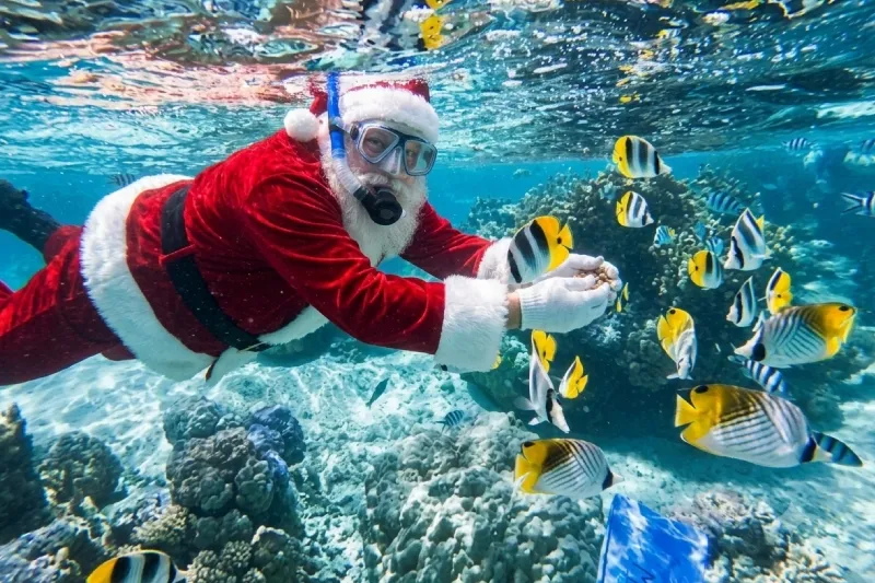 Natale in Egitto Offerte 2026: Cairo, Crociera e Marsa Alam