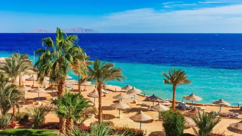 Vacanza estiva sul Mar Rosso egiziano