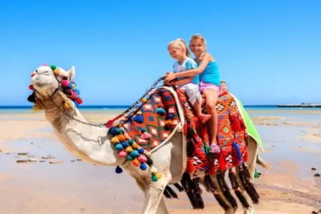 Tour Egitto Piramidi e Mare 8 Giorni: Cairo, Luxor & Marsa Alam