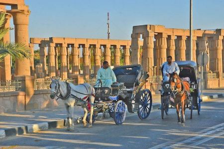 luxor horse carriage