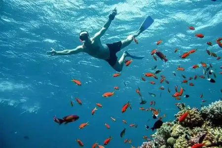 Hamata islands experience
