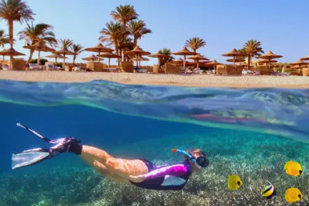 Viaggio Egitto Piramidi e Mare: Cairo e Marsa Alam 8 Giorni