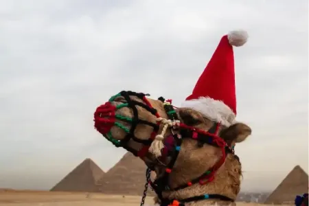 Capodanno in Egitto Offerte: Tour 7 Giorni Nilo e Cairo